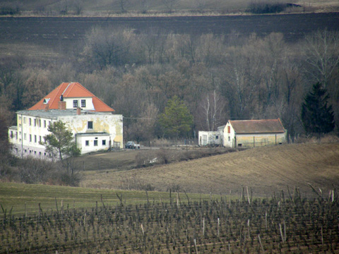 Foto 41